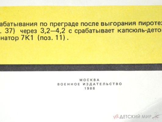 81