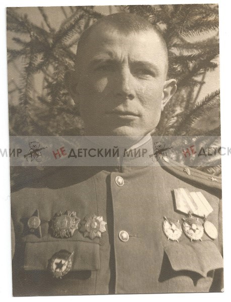 тсп (Копировать)