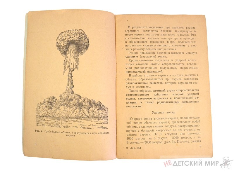 213 (Копировать)