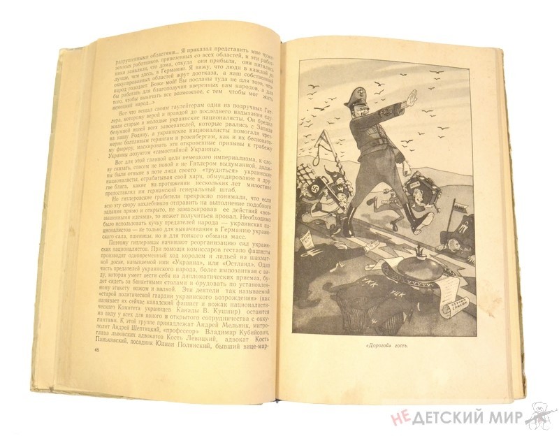 43 (Копировать)