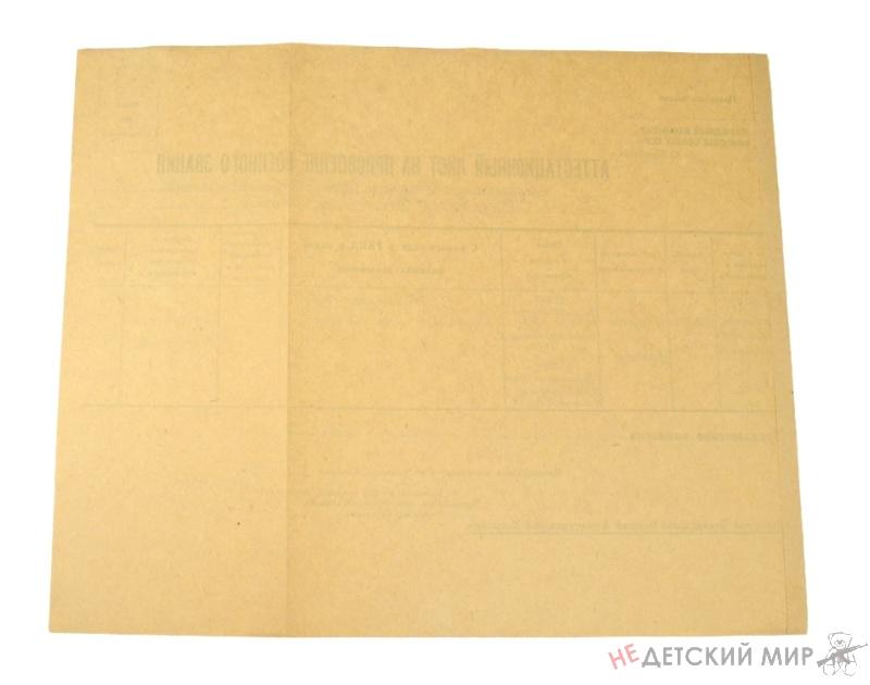 53